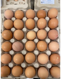 30 œufs extra frais M