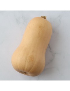 Butternut
